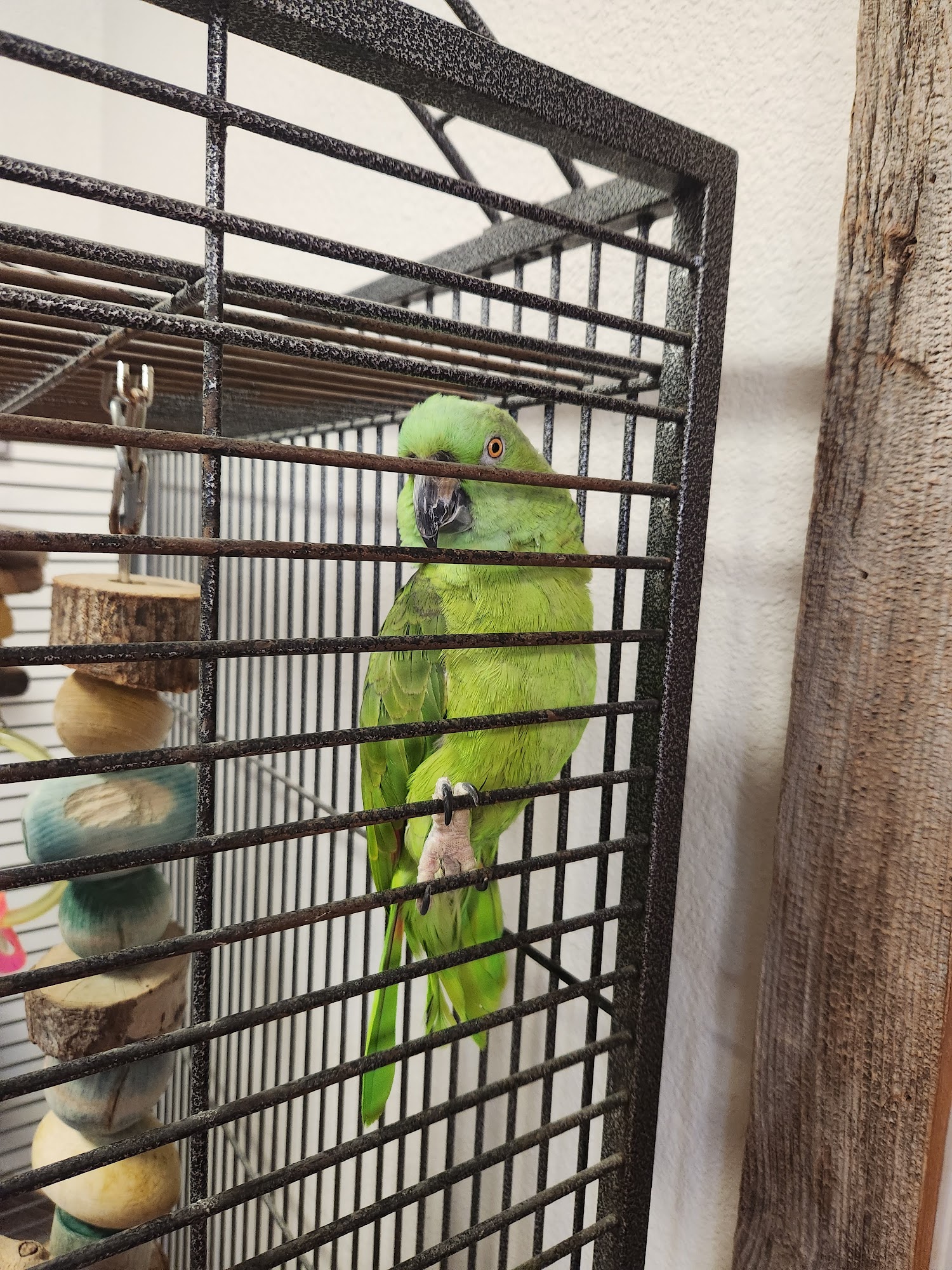 Chelstar’s Bed & Biscuit Pet Lodge Fond Du Lac