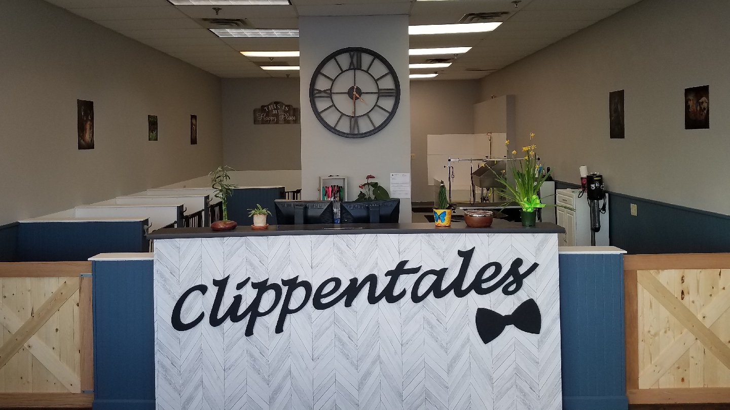 CLIPPENTALES LLC