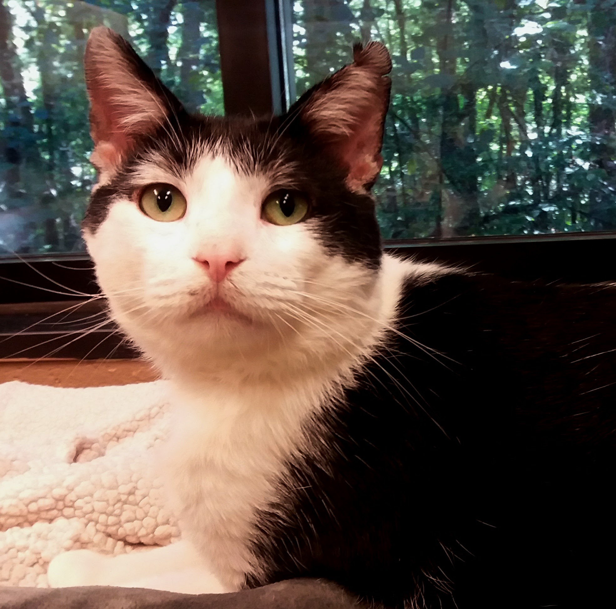 Wisconsin Humane Society Green Bay Campus Green Bay