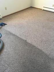 Steve's Carpet Clean Rx