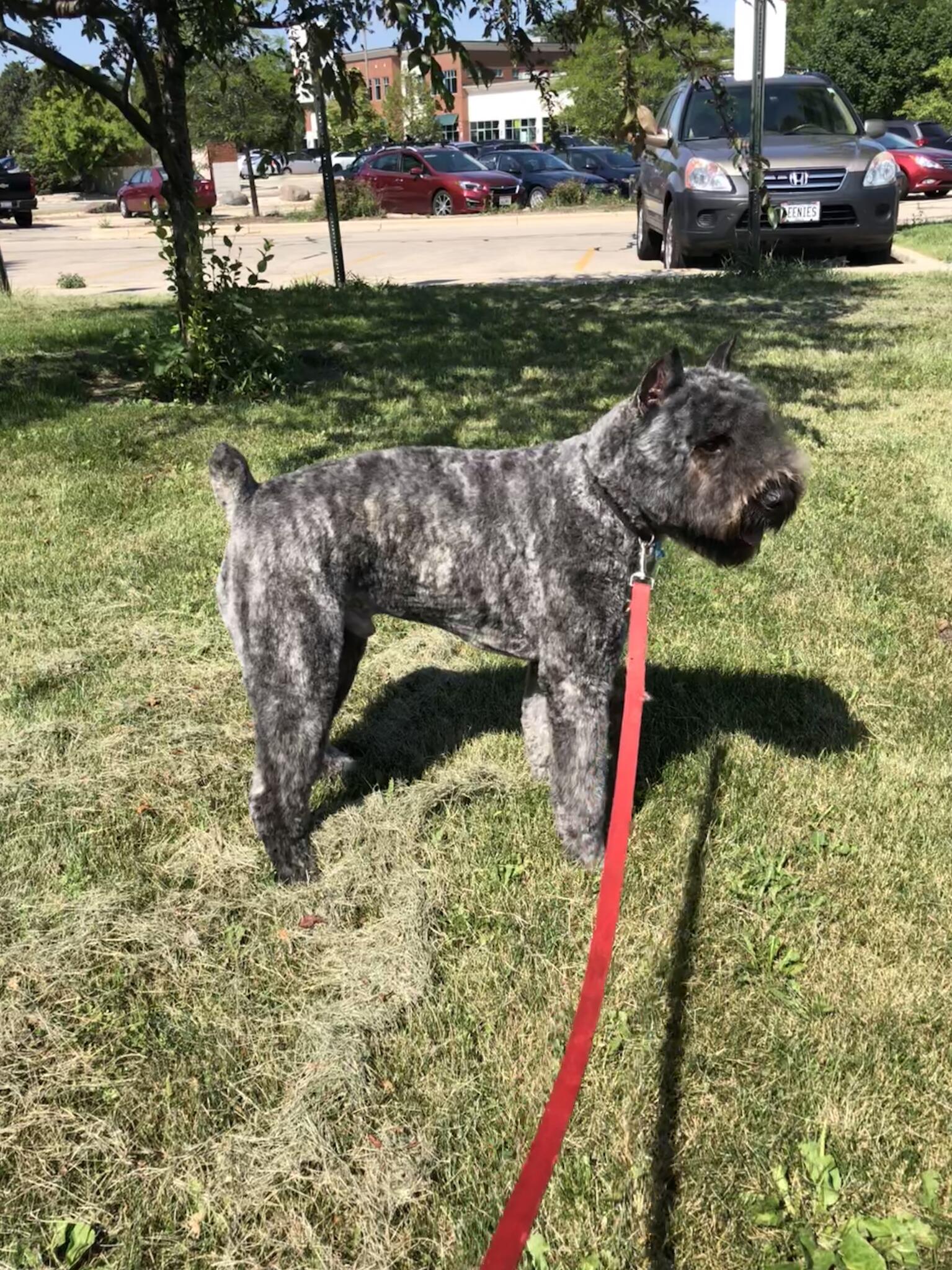 Photo credit: nextdoor