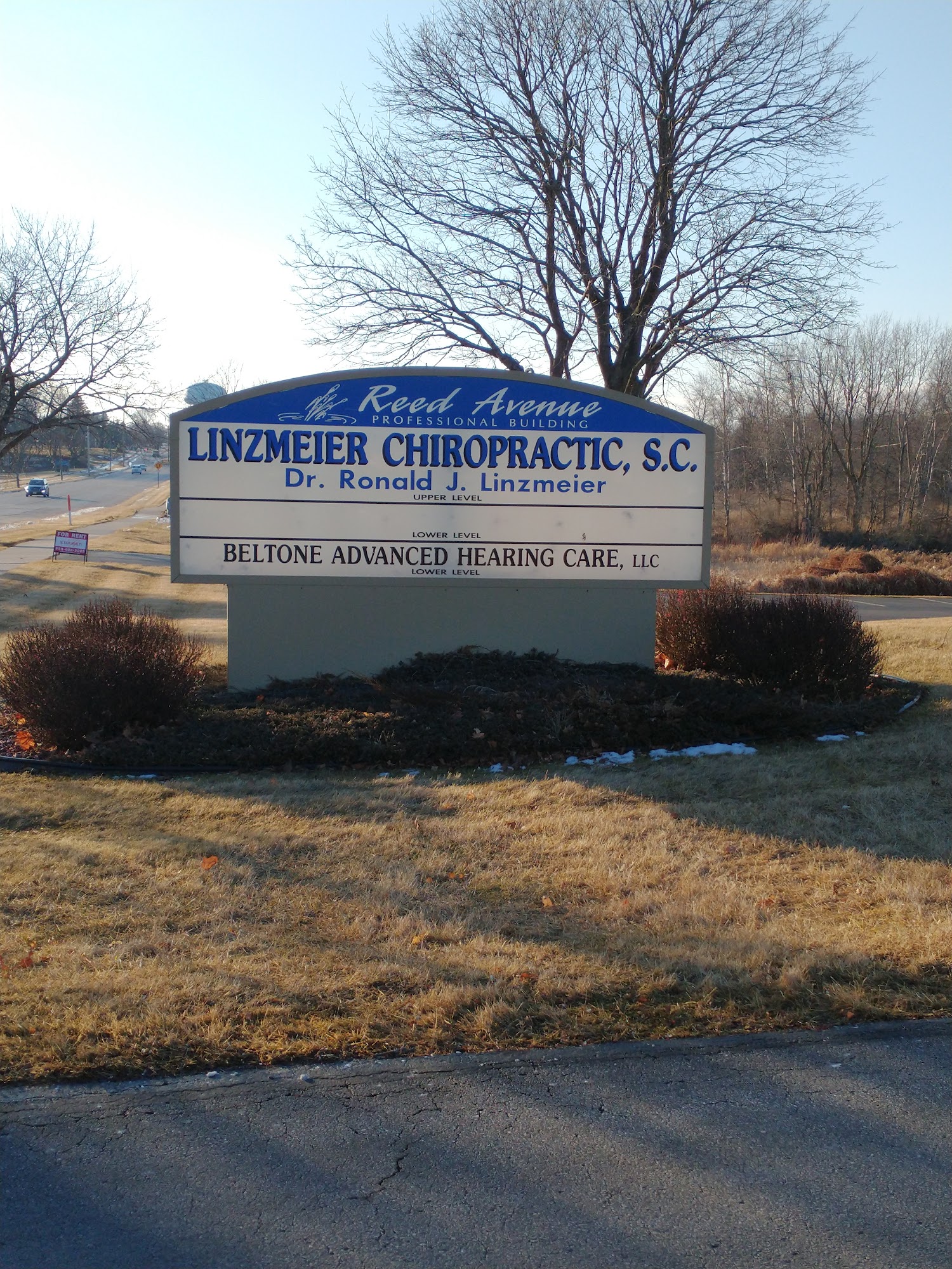 Linzmeier Chiropractic