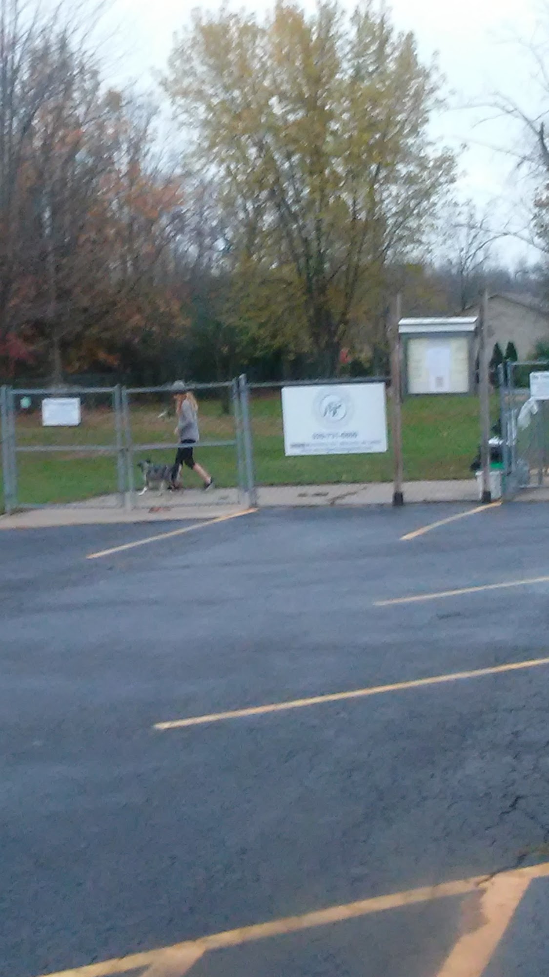 Winnegamie Dog Club Menasha