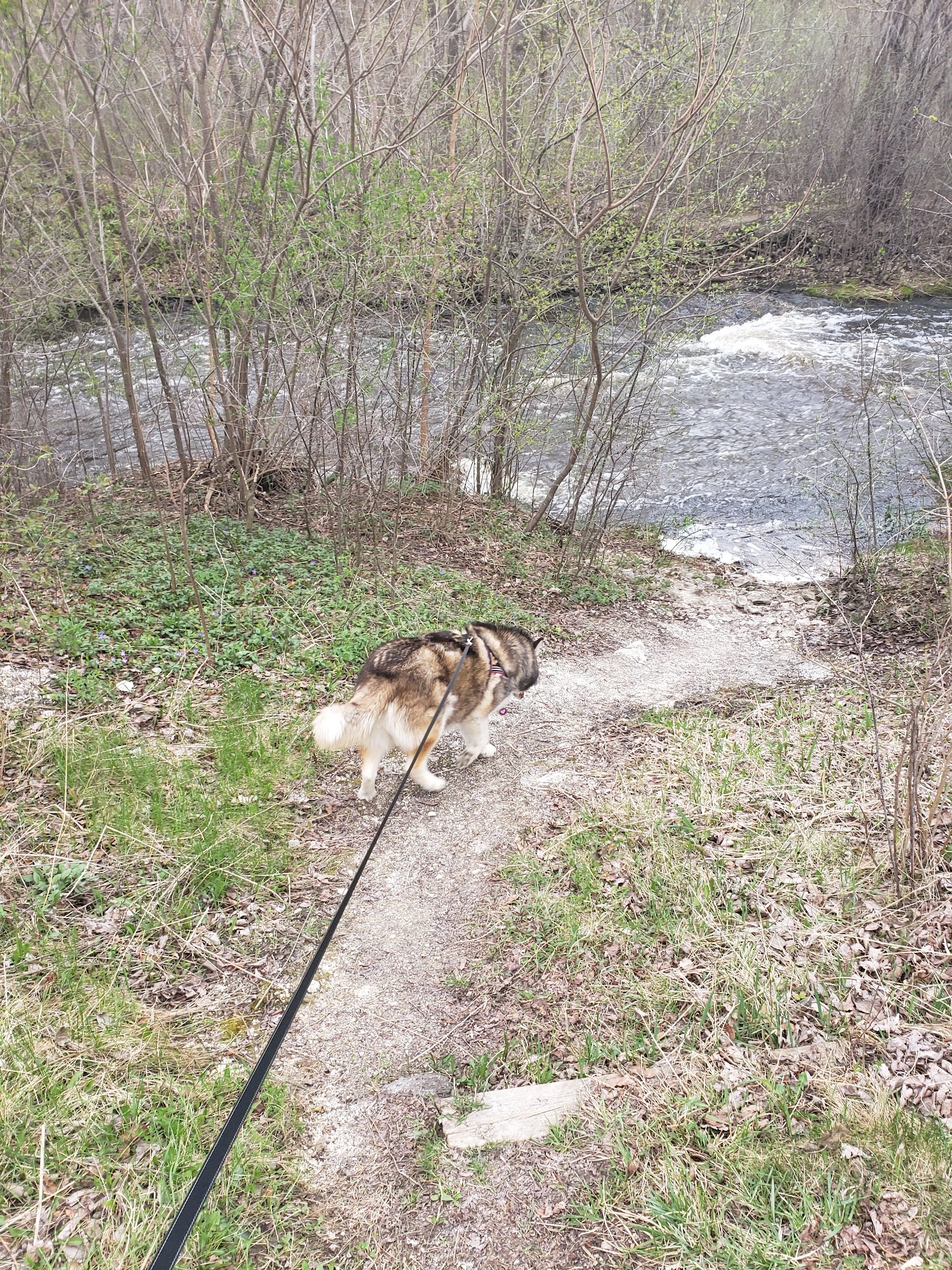 Menomonee Falls Animal Hospital