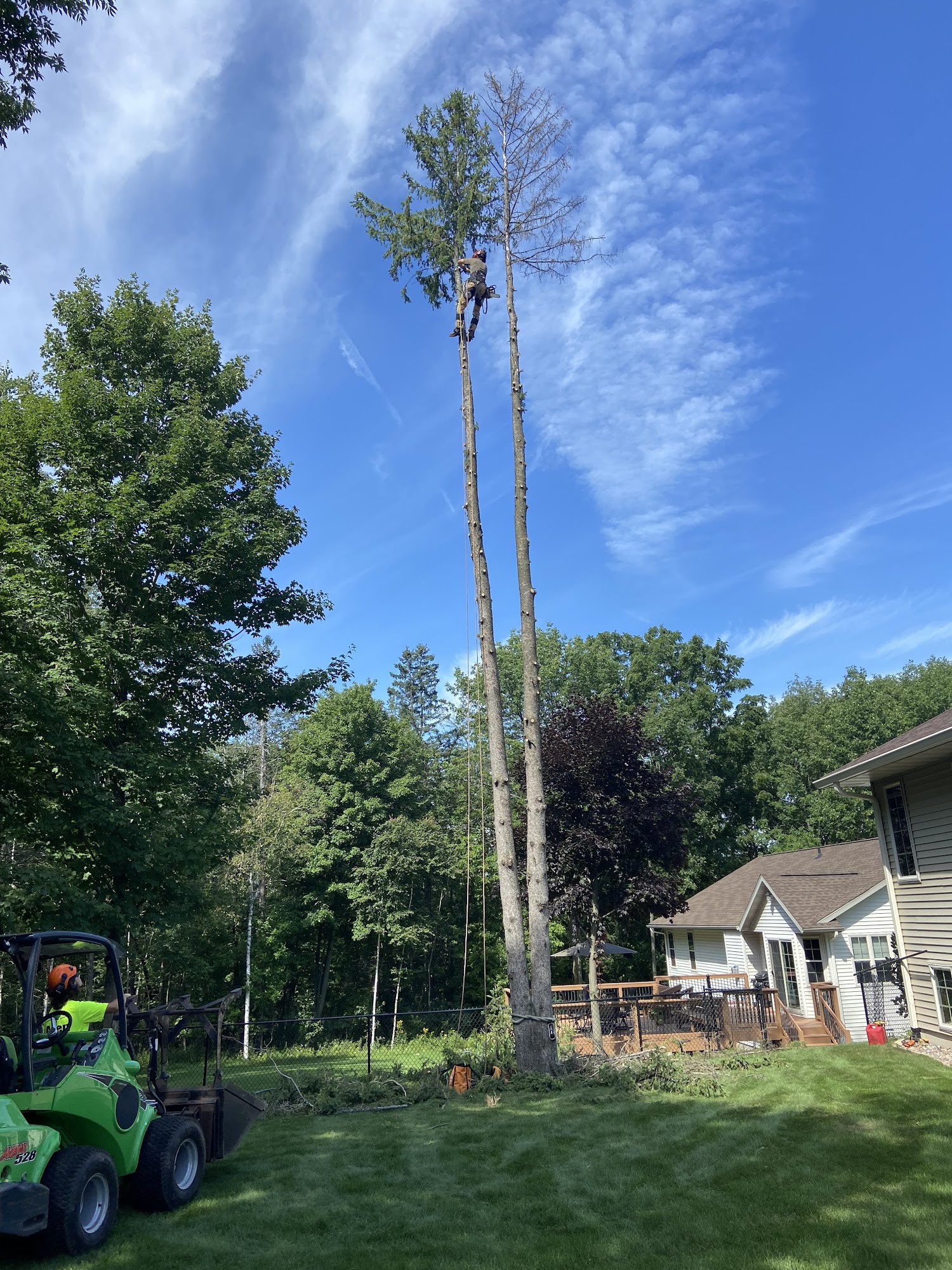 Aden Tree Care, LLC 10774 Mayflower Rd, Milladore Wisconsin 54454