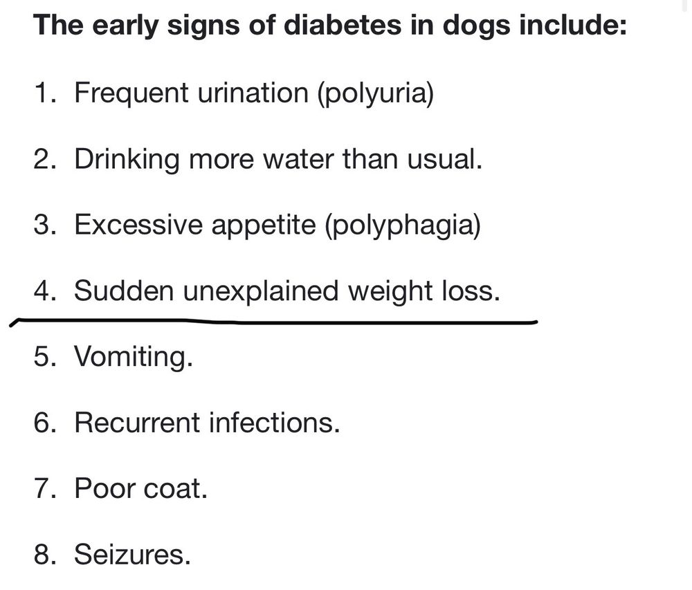 Belle City Veterinary Hospital: Whitney Todd DVM Mount Pleasant