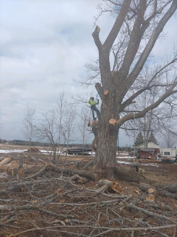 St.Vincent Tree Service 483 Fischer Lake Pkwy, Niagara Wisconsin 54151