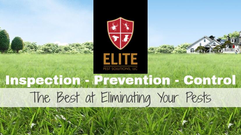 Elite Pest Solutions, LLC W5733 Packer Ln, Pardeeville Wisconsin 53954