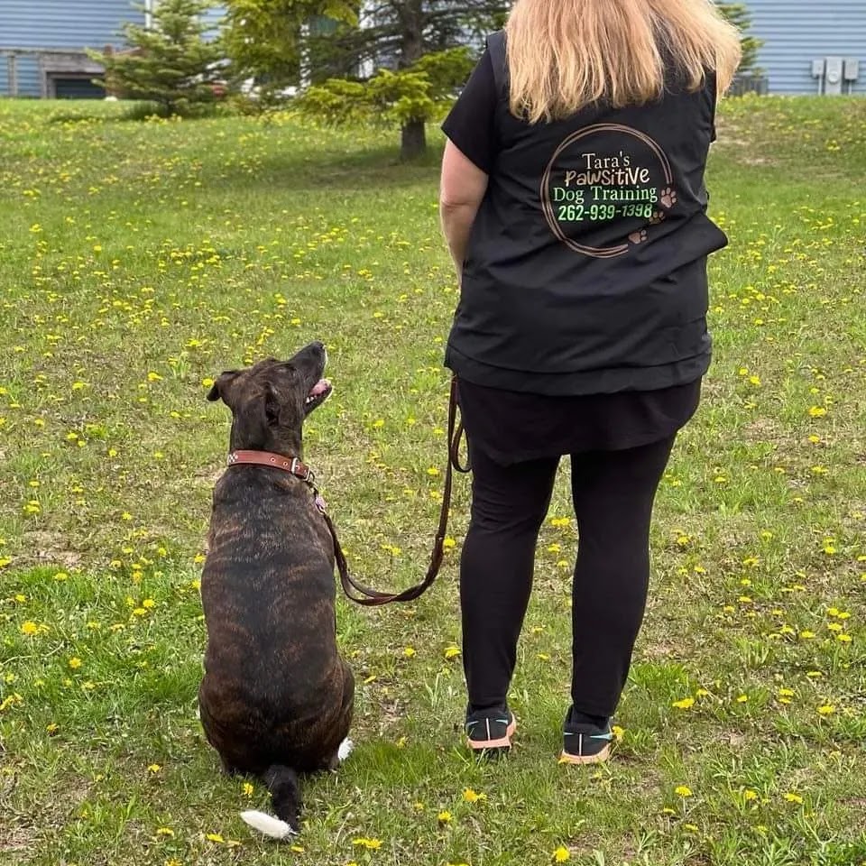 Tara's Pawsitive Dog Training, LLC 1489 W 2nd Ave, Port Washington Wisconsin 53074