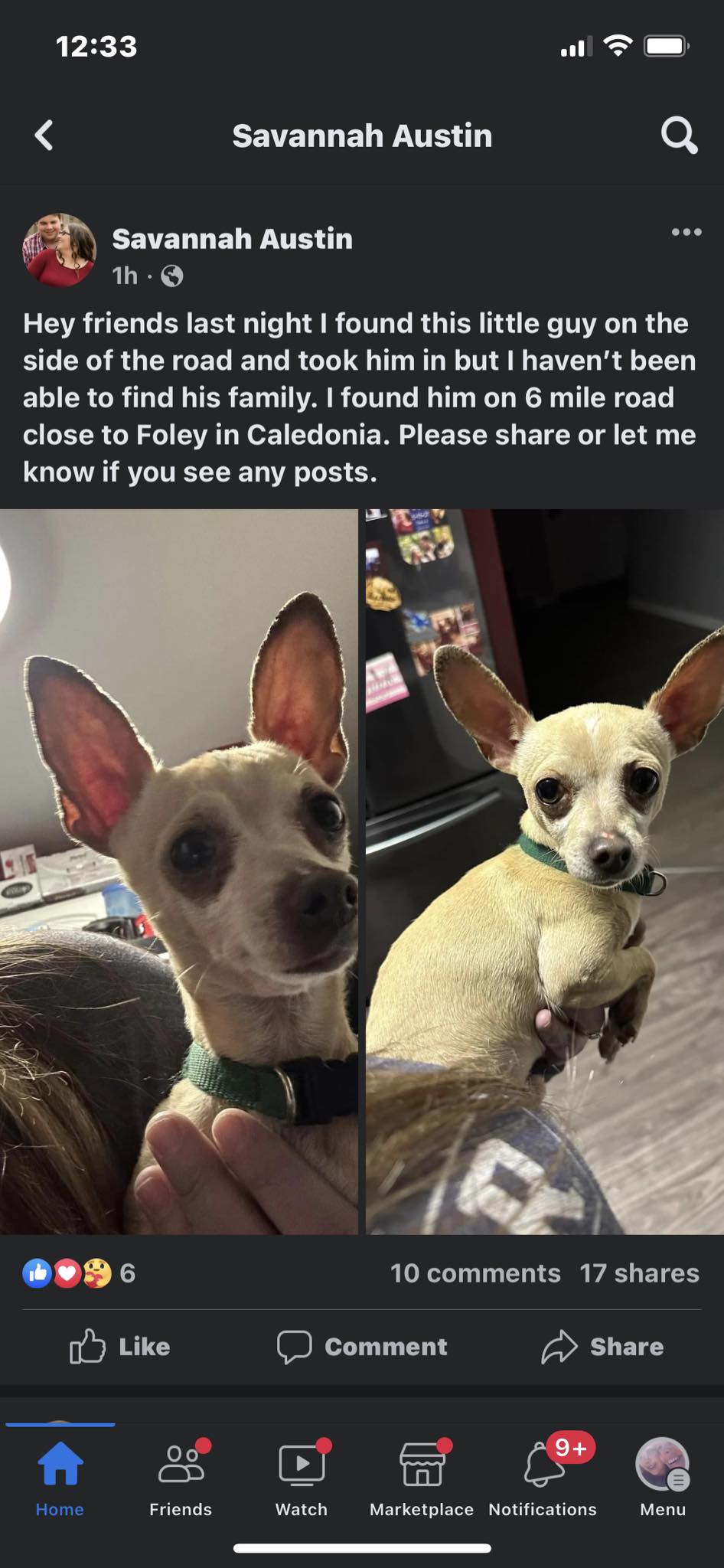 Photo credit: facebook