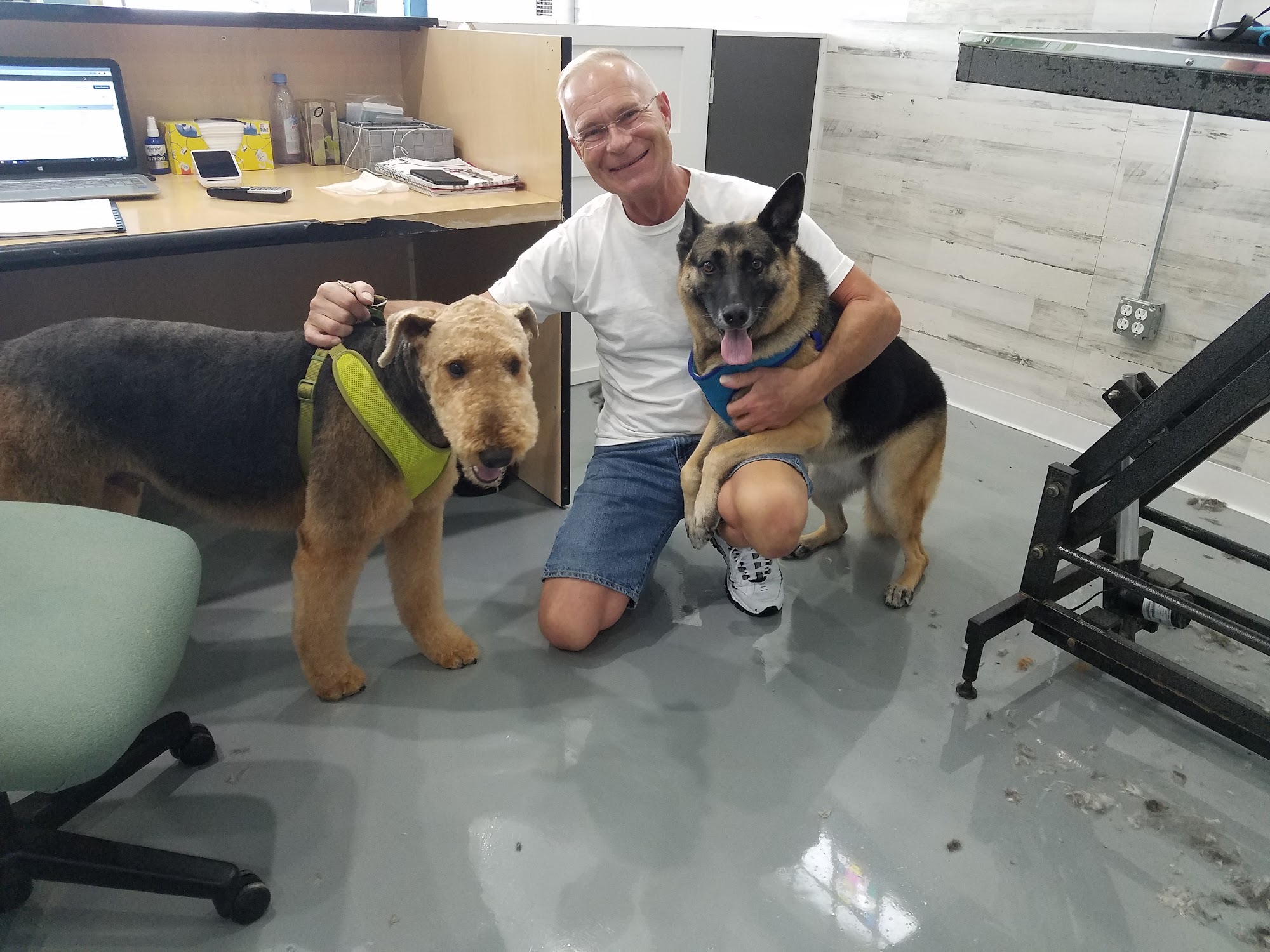 Paw Prints Grooming Racine