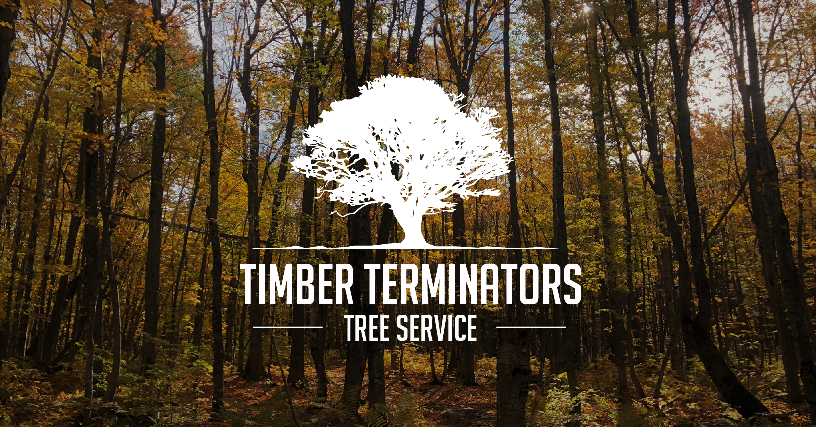 Timber Terminators Tree Service