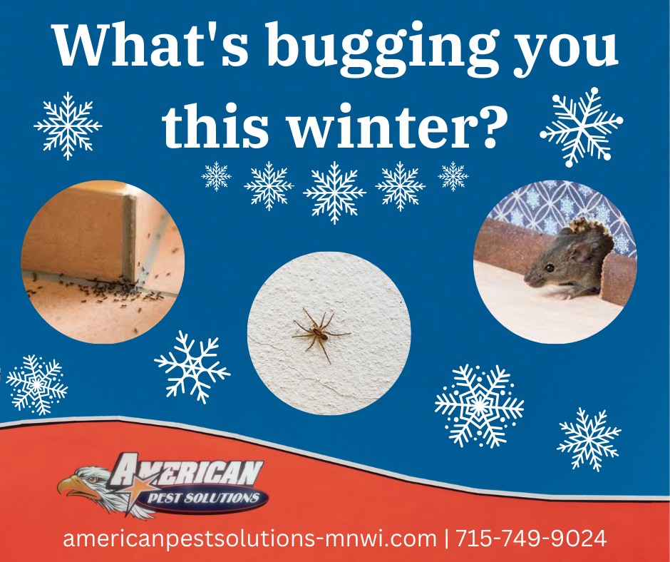 American Pest Solutions 107 Packer Dr, Roberts Wisconsin 54023