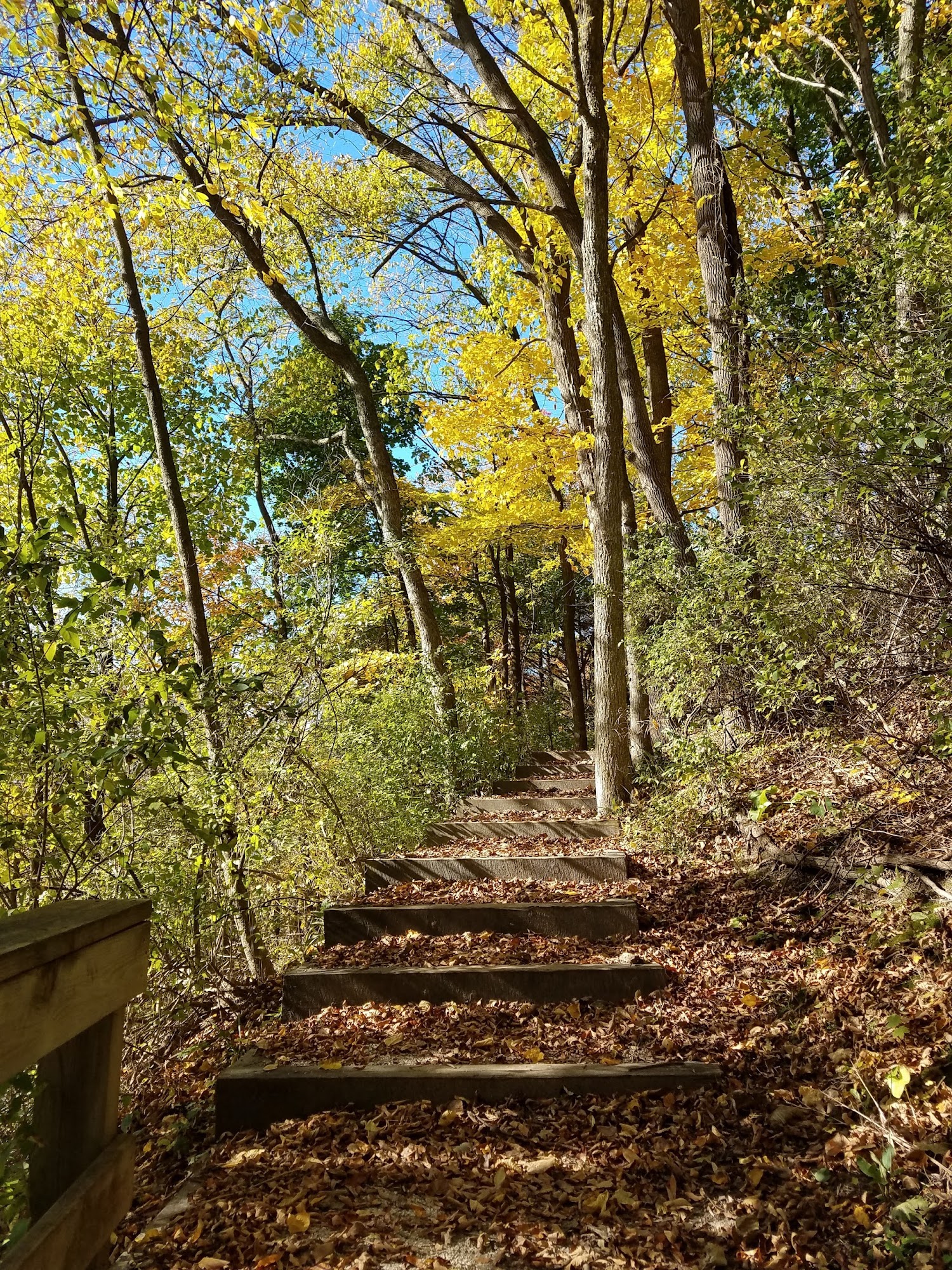 Sheboygan Falls Branch YMCA