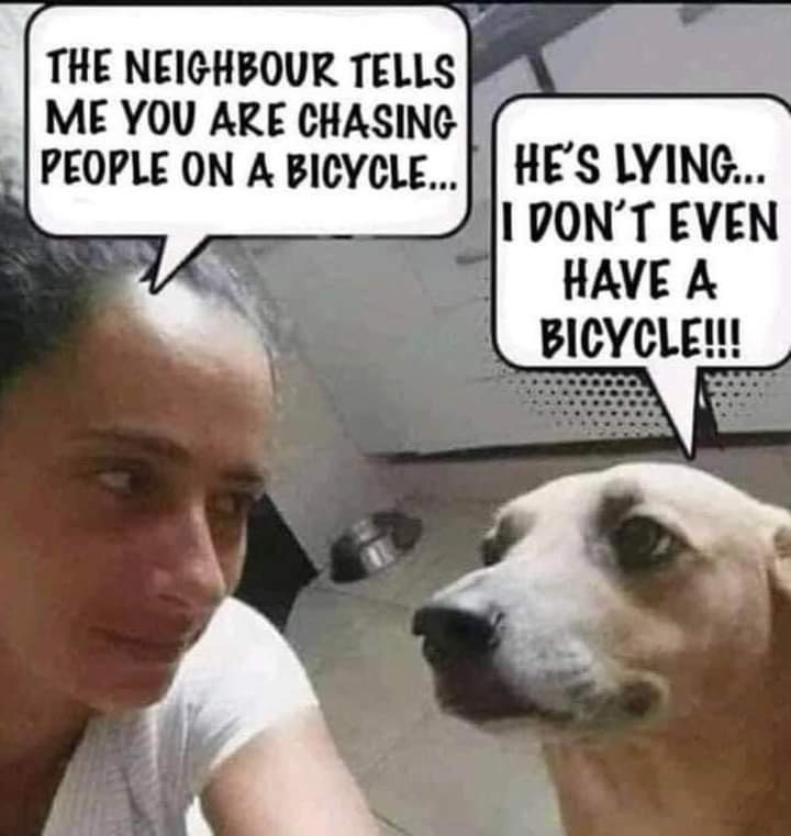 Brody's Cat Sanctuary Shell Lake