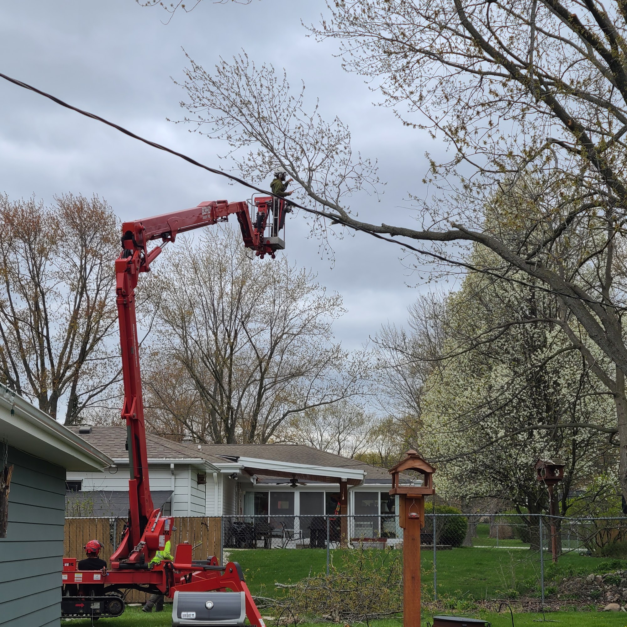 Forester Tree Service N63W22619 State Hwy 74, Sussex Wisconsin 53089