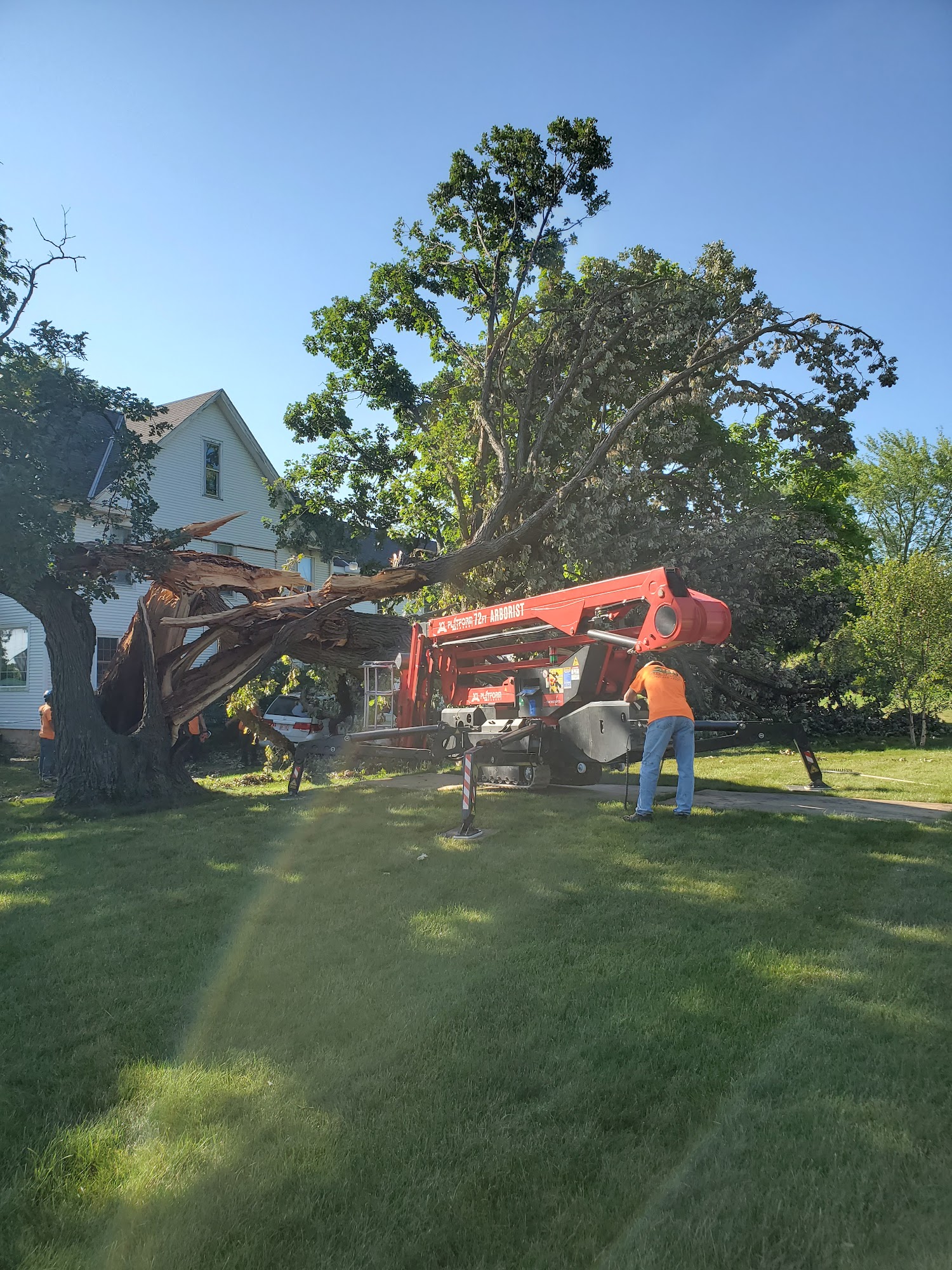 RG Tree Service N61W23198 Silver Spring Dr, Sussex Wisconsin 53089