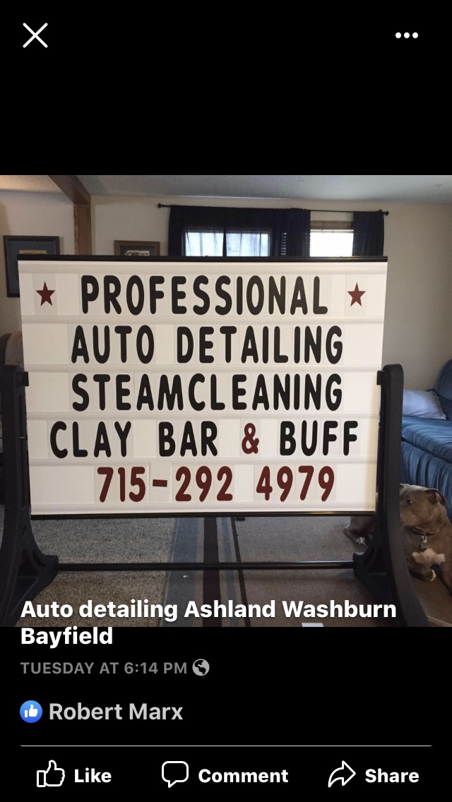 Professional auto detailing