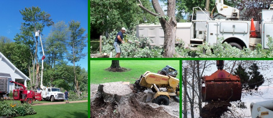 Kreft Tree Service