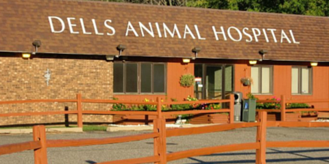 Anita Bartol Meyer - Dells Animal Hospital 4135 State Hwy 13, Wisconsin Dells Wisconsin 53965
