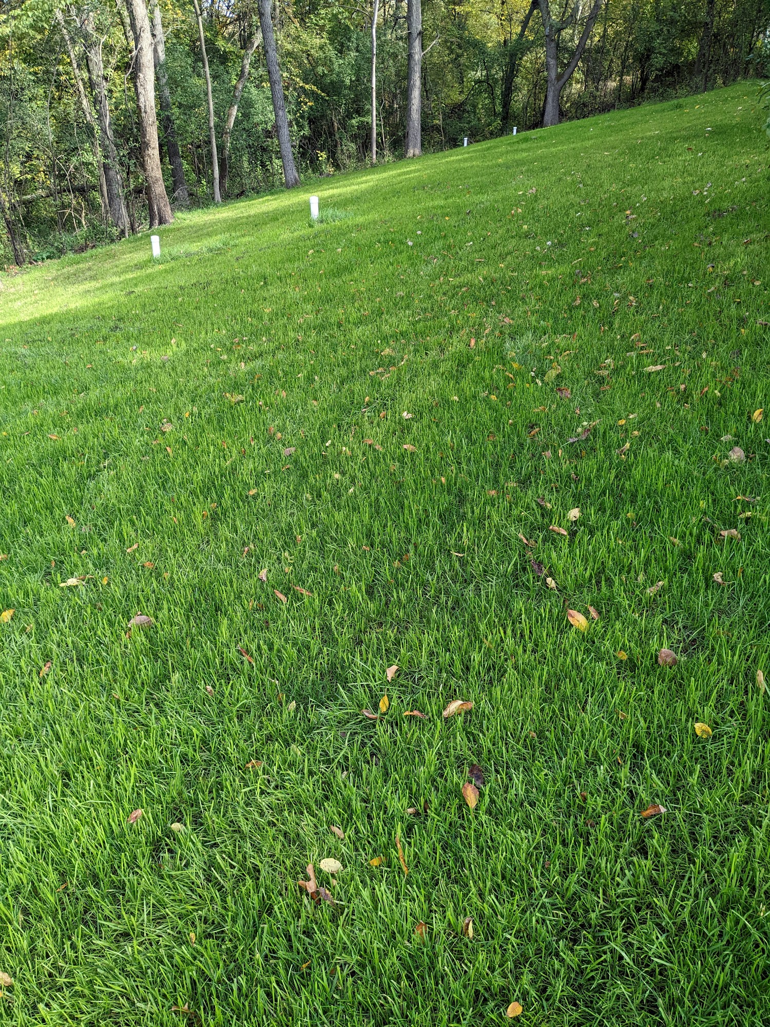 Green Touch Lawn Care 1069 245th St, Woodville Wisconsin 54028