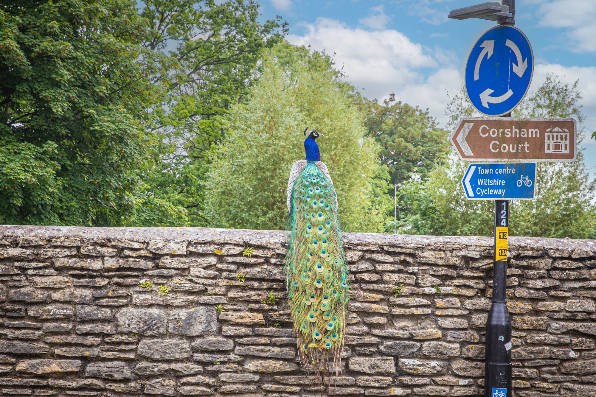 Strakers Corsham