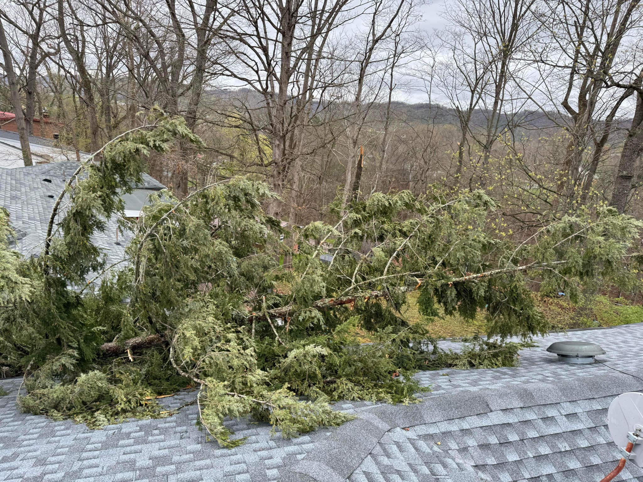 Bulldogs Tree service 1957 Childress Rd, Alum Creek West Virginia 25003