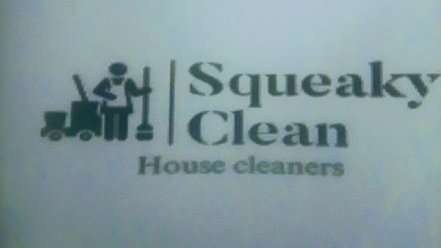 Squeeky Clean House