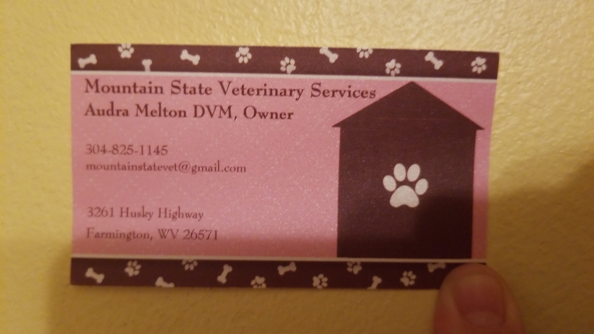 Dr. Babette Simms Farmington