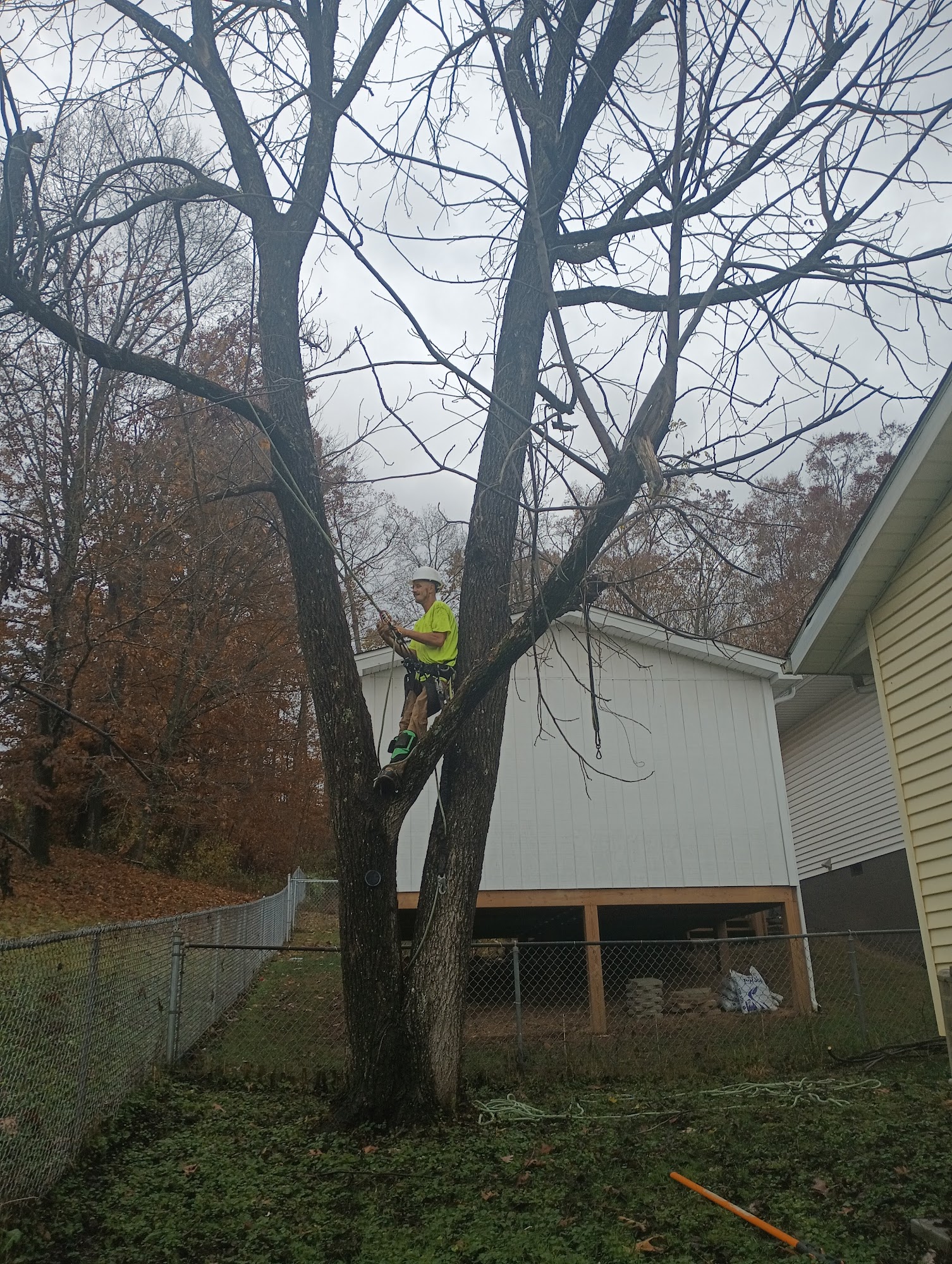 Snodgrass Tree Care, LLC. 248 Fisher Ridge Rd, Liberty West Virginia 25124