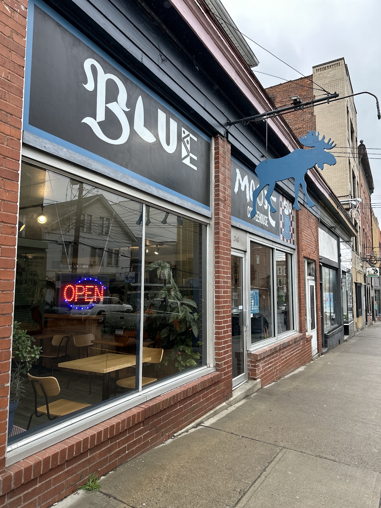 Blue Moose Coffeehouse