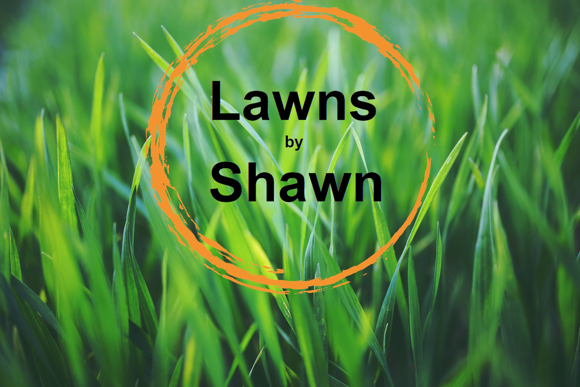 Lawns By Shawn