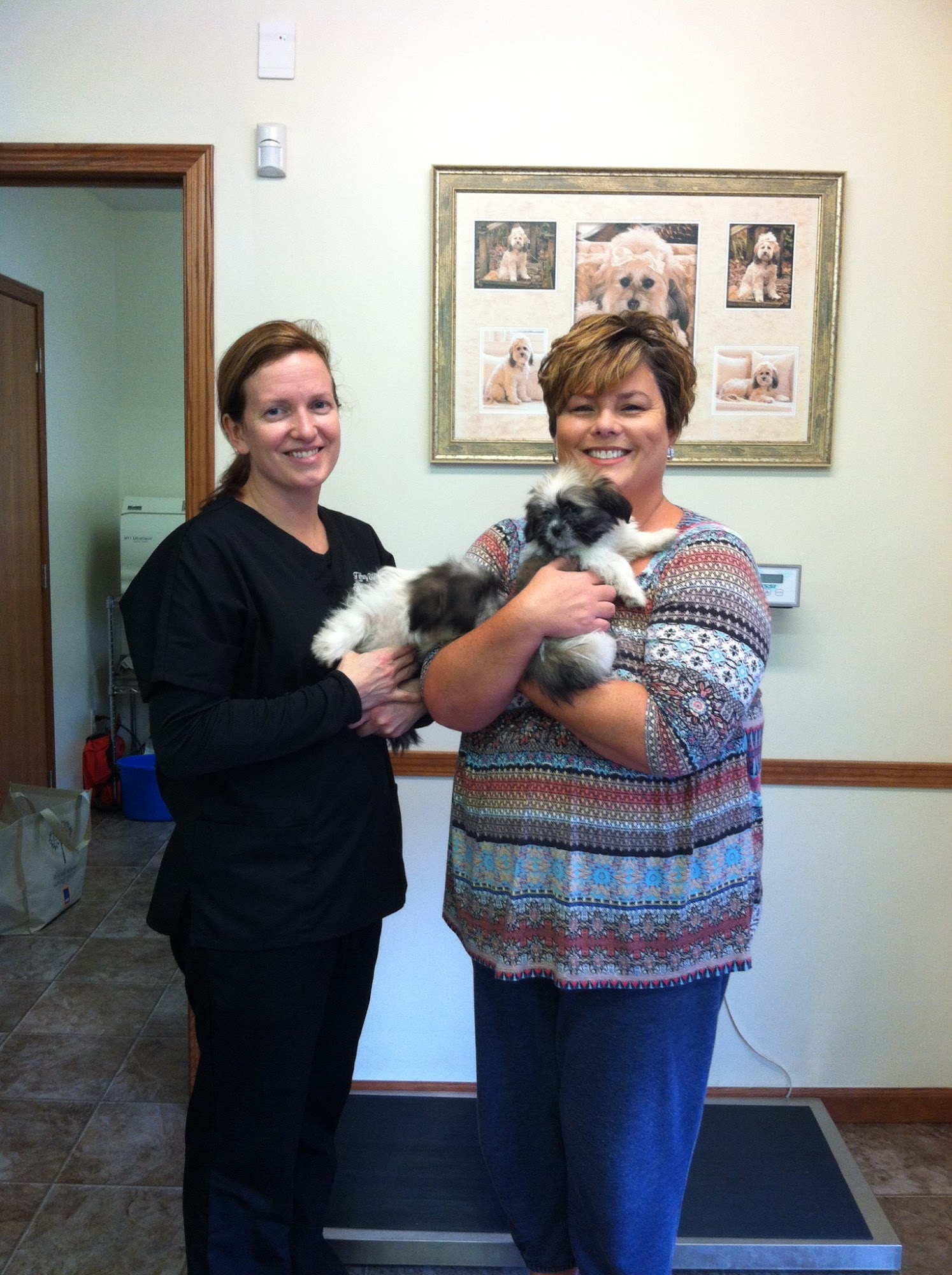 Tiffany Dlesk Spay-Neuter Clinic 74 Animal Shelter Dr, Moundsville West Virginia 26041