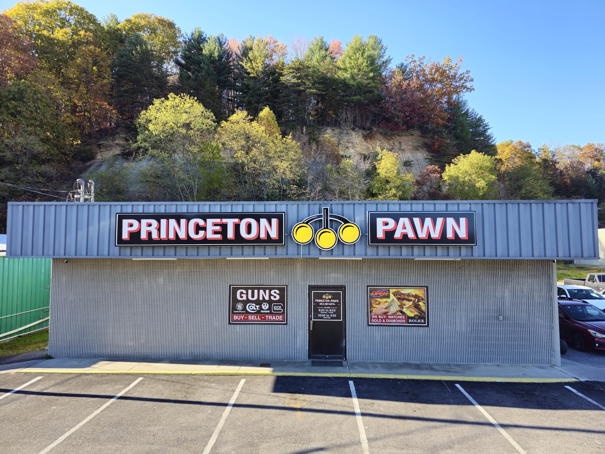 Princeton Pawn