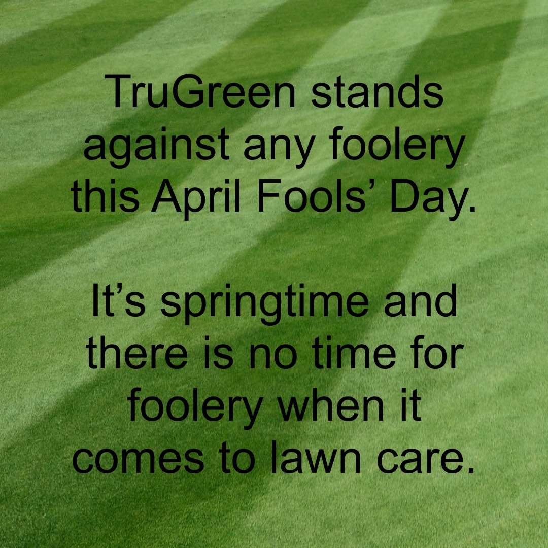 TruGreen Lawn Care 186 Erskine Ln, Scott Depot West Virginia 25560